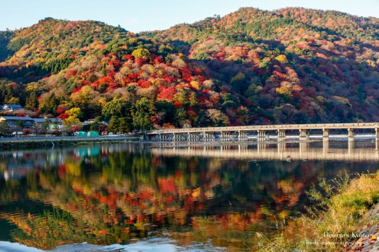 Musim Gugur di Jepang: Panduan Lengkap Momijigari, Spot Terbaik, dan Itinerary Kyoto-Osaka-Nara 2026