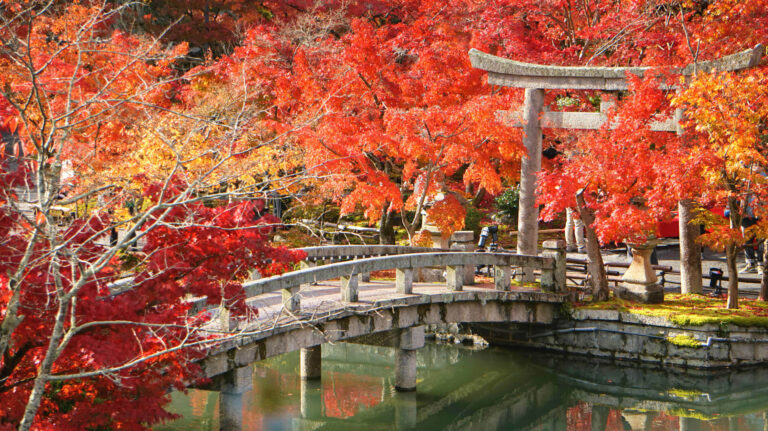 12 Rekomendasi Destinasi Wisata Musim Gugur Terindah di Jepang : Ada Kyoto sampai Aomori