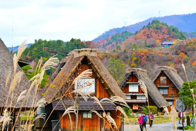 8 Rekomendasi Destinasi Tersembunyi di Jepang yang Jarang di Ketahui