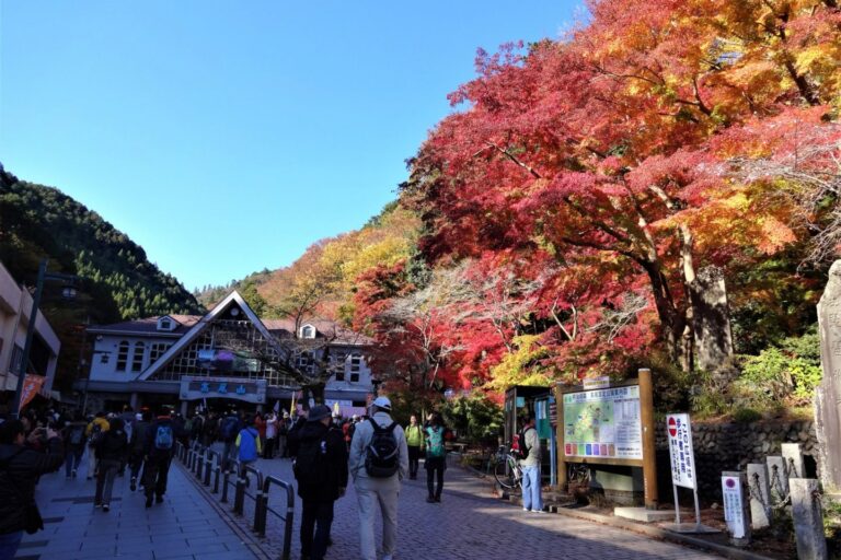 Rekomendasi 11 Taman di Tokyo untuk Melihat Daun Musim Gugur di Tokyo