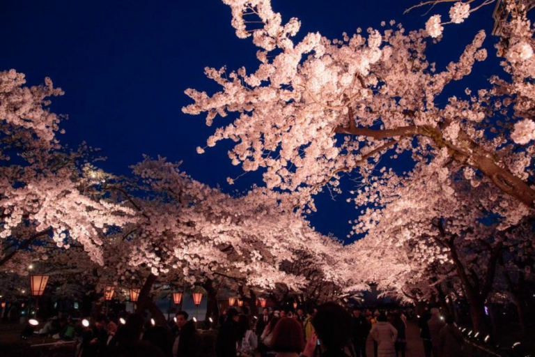 Berkunjung ke Niigata Rekomendasi Wisata Menyaksikan 4.000 Bunga Sakura di Takada Castle