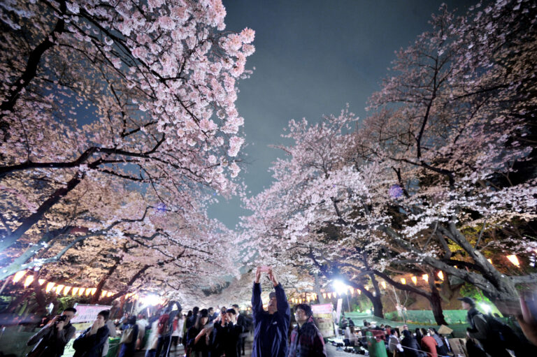 Open Trip Tour Jepang Sakura Tokyo 12 – 16 April 2024