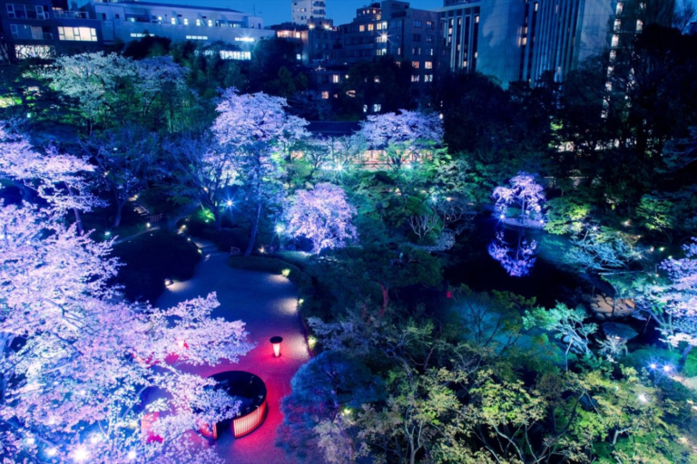 Rekomendasi Festival Musim Semi di Taman Sakura Tokyo Nikmati Keindahan Bunga Sakura