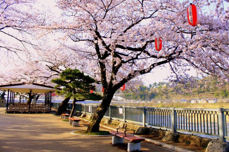 Rekomendasi 9 Hidden Gems di Tokyo buat Nikmati Bunga Sakura dengan Tenang