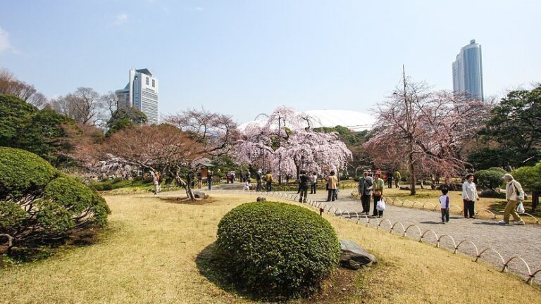 Nikmati Masuk Gratis di Atraksi Tokyo Ini pada Hari Hijau, 4 Mei