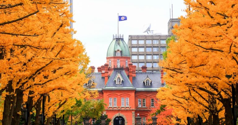 Rekomendasi Iitinerary Hokkaido Musim Gugur 5 Hari 2025