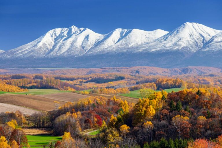5 Spot Terbaik Daun Musim Gugur di Hokkaido