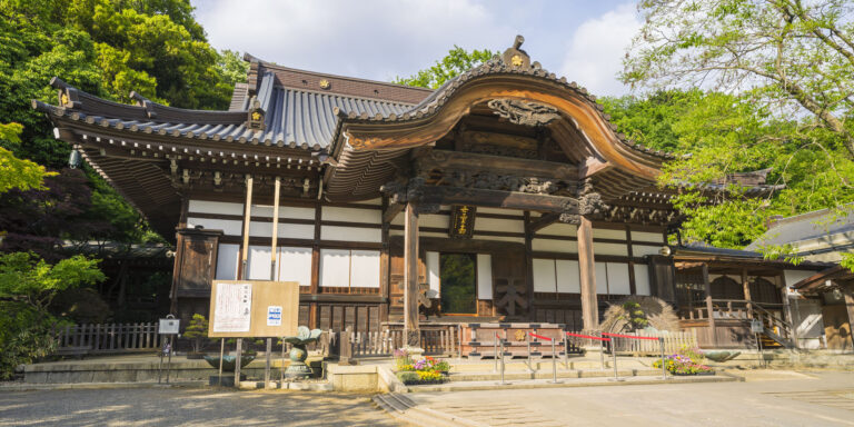 Rekomendasi 8 Tempat Wisata Alam di Tokyo dan Sekitarnya untuk Liburan Tenang