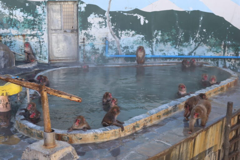 Rekomendasi Liburan ke Yunokawa Onsen Hokkaido: Onsen Mewah di Tengah Kota Hakodate