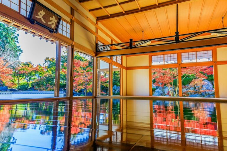 Rekomendasi Aktivitas Seru di Jepang Bulan November: Festival, Museum Unik, hingga Kuliner Modern