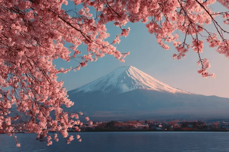 Sakura Jepang 2026: 10 Destinasi Hanami Terpopuler dari Selatan ke Utara