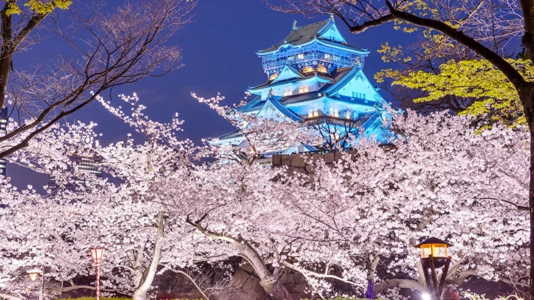 Rekomendasi 6 Spot Terbaik Melihat Bunga Sakura di Osaka 2026 yang Wajib Masuk Itinerary-mu