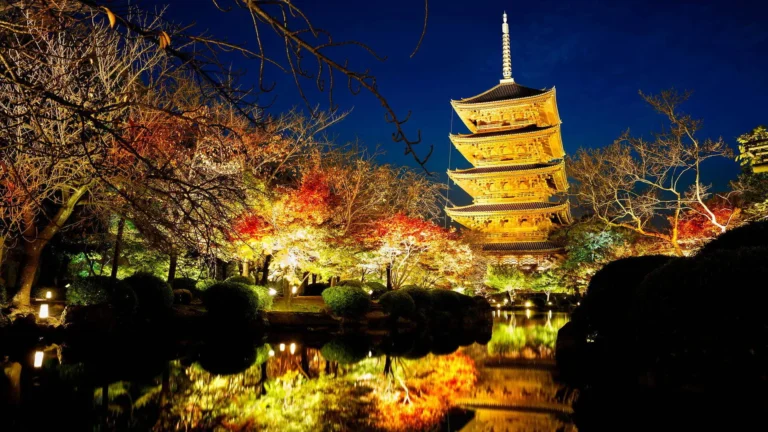 Toji Temple Light-up 2026: Ribuan Lentera Bambu Menyala di Kuil Kyoto Hingga 11 Maret