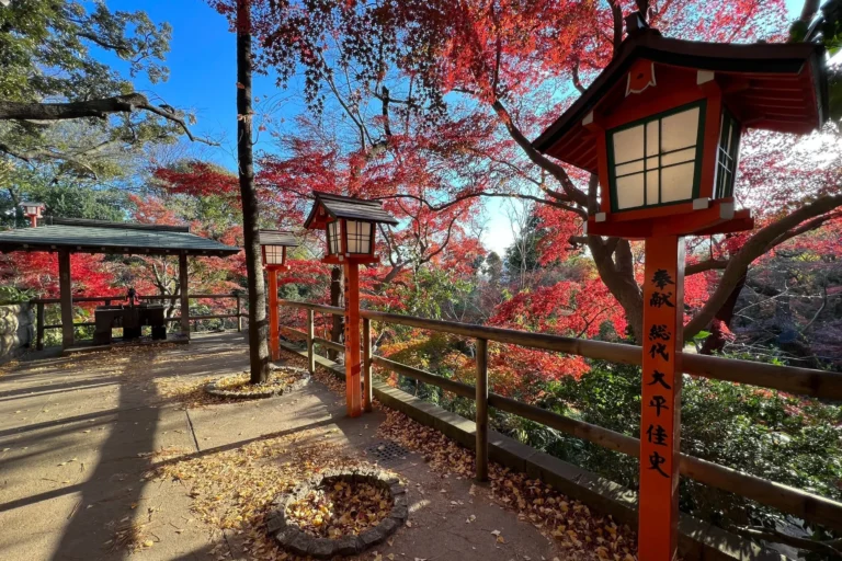 10 Hidden Gems di Tokyo yang Wajib Dikunjungi 2026