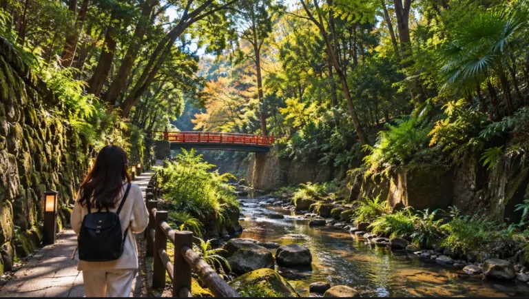 Panduan Lengkap Todoroki Valley: Lembah Alami Tersembunyi di Tokyo yang Jarang Diketahui Wisatawan